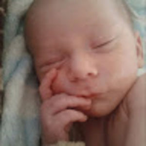 Meet your Posher, Ginger